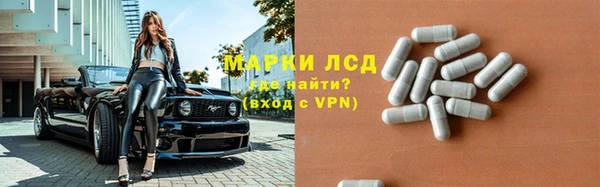 стаф Богородицк