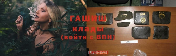 стаф Богородицк