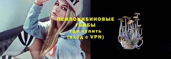 тгк Богородск