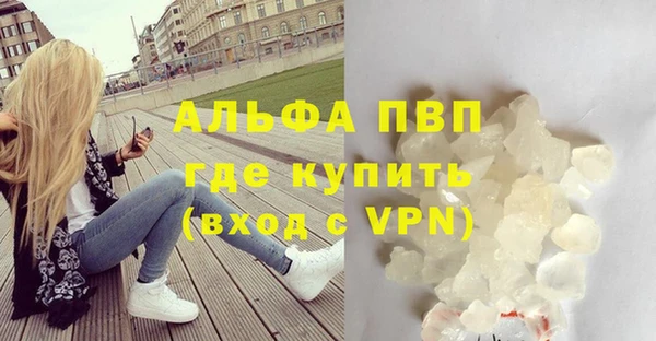ешки Богданович