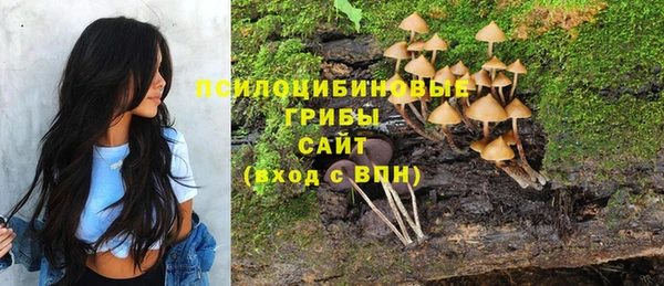 стаф Богородицк