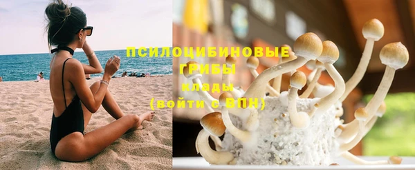 стаф Богородицк