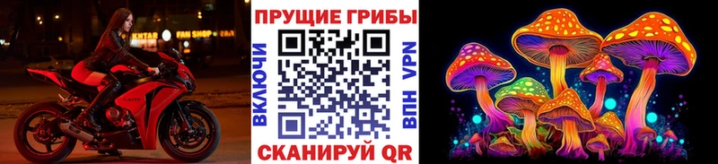 где найти наркотики  Джанкой  Галлюциногенные грибы прущие грибы 